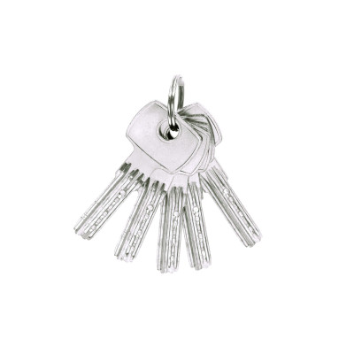 RV.GOLEM.84 bezpečnostný visiaci zámok